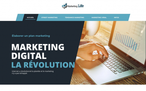 Le marketing life : métier et techniques